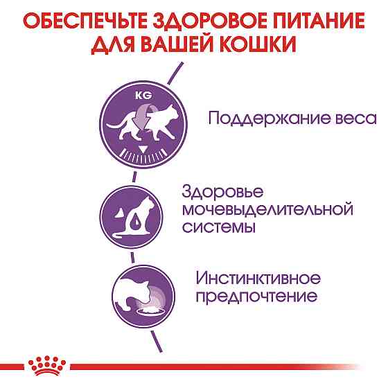 Вологий корм для дорослих стерилізованих котів ROYAL CANIN STERILISED IN JELLY 0.085 кг Київ