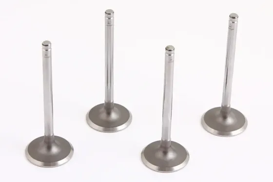 Клапана Lanos 1.5 AMP впускные (4 шт.) Винница