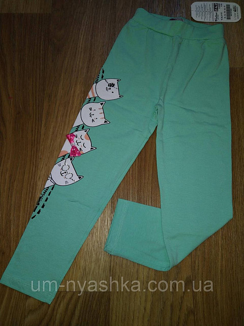 Лосины детские с котиками 98, 116 Кривой Рог - изображение 1