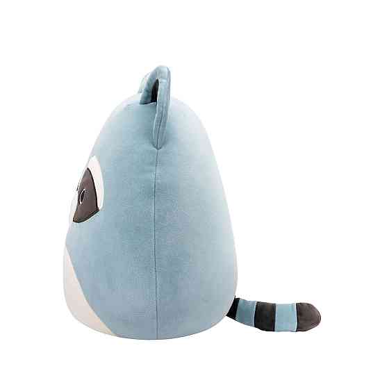 М'яка іграшка Squishmallows – Єнот Роккі (19 cm) Днепр