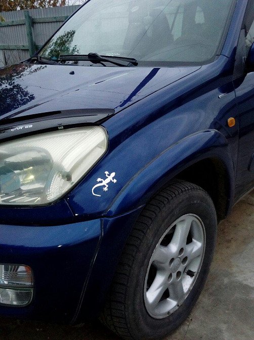 Наклейка Пластиковая Ящерица Золото Киев - изображение 2