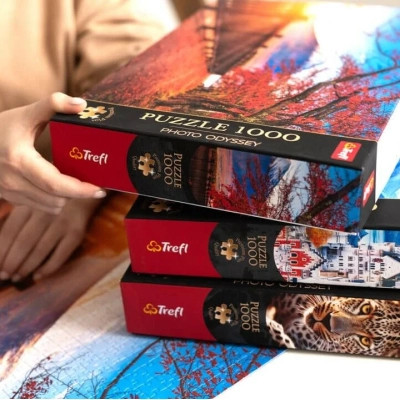 Пазл Trefl Premium Манхеттен, Нью-Йорк 1000 елементів (5900511108286) Вінниця - фото 5