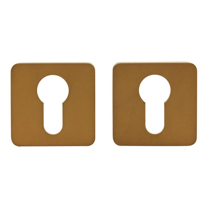 Дверная накладка под цилиндр M&T 000597 47х47 мм TIN-A титан/латунь матовая Киев - изображение 1