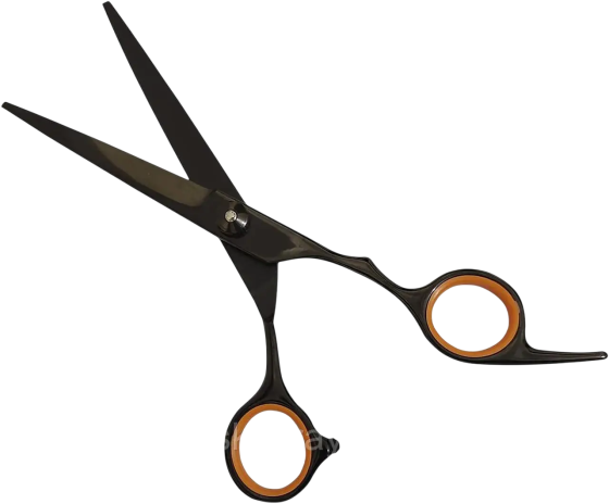 Ножиці перукарські JAGUAR 5.5* Київ