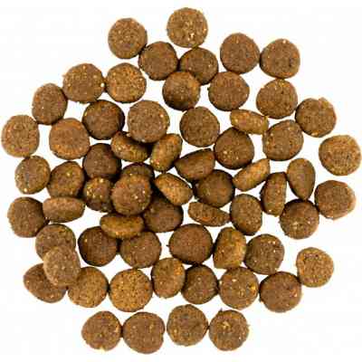 Сухий корм для собак Savory Puppy rich in Fresh Turkey and Chicken 3 кг (4820232630297) Вінниця