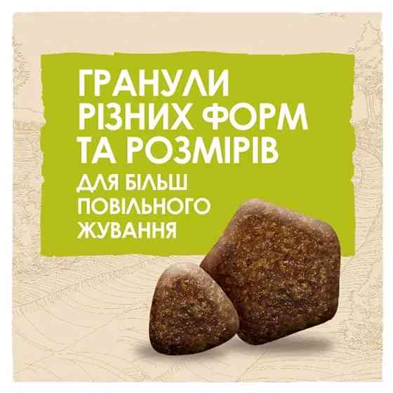 Сухой корм DOG CHOW Adult 1+ для взрослых собак, с ягненком, 14 кг Киев