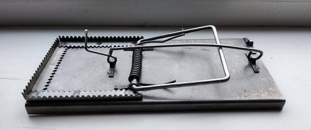 Щуроловка сталева велика потужна, щурівка Дніпро - фото 1