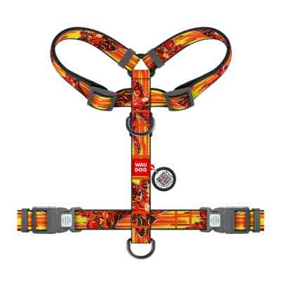 Шлея для собак WAUDOG Nylon H-подібна з QR-паспортом "Швидкість Флеша", пластиковий фастекс S (343-1080) Вінниця