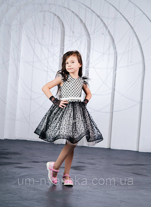 Пишне ошатне плаття в ретро стилі "Стиляги" Кривий Ріг - фото 5