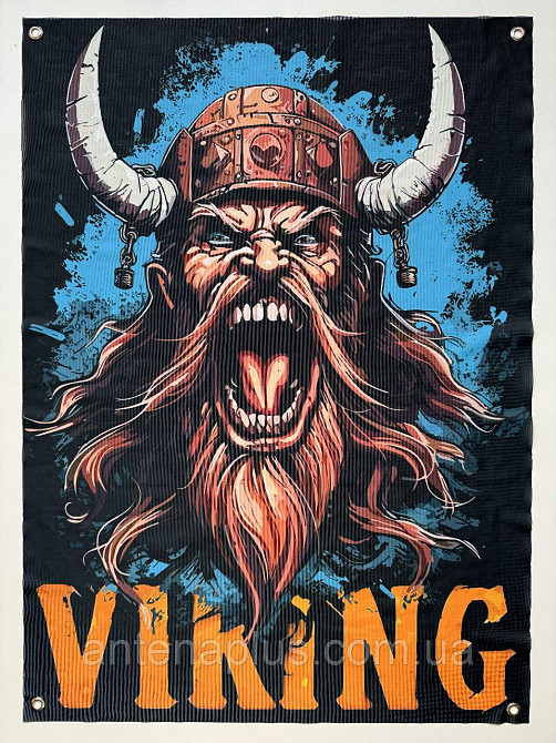 Viking (вариант 2) баннер 600х900 мм Киев - изображение 1