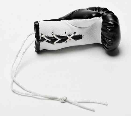 Сувенірна рукавичка Leone Black Київ