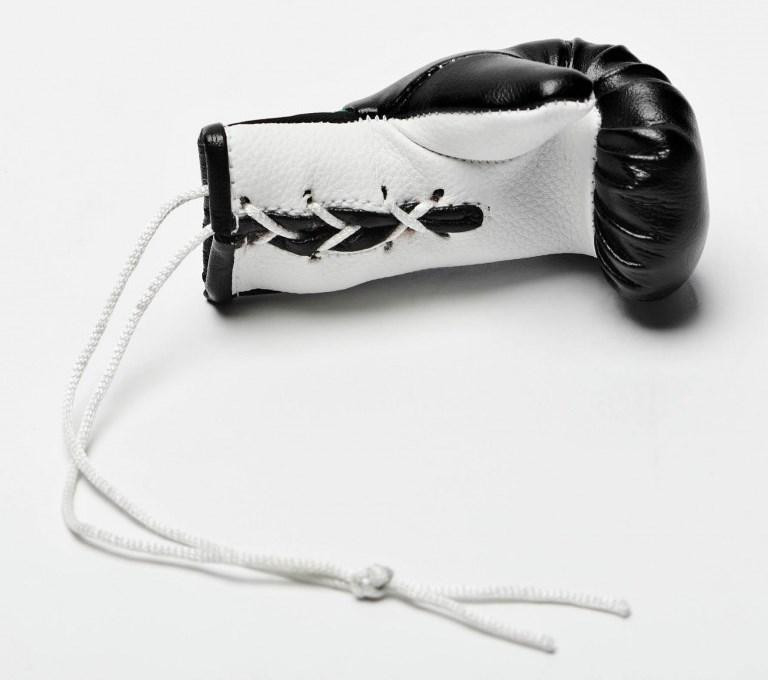 Сувенірна рукавичка Leone Black Київ - фото 3