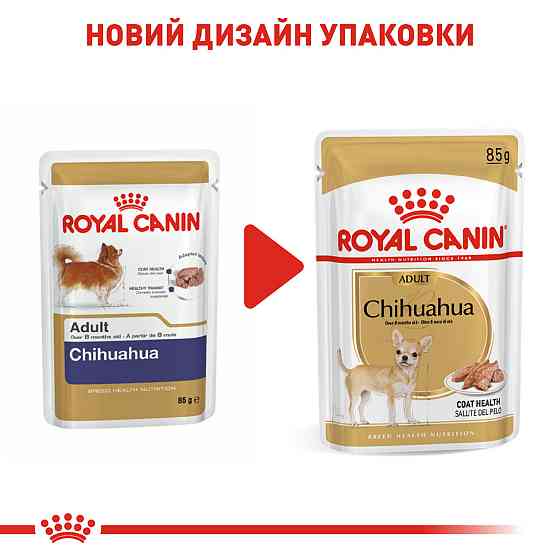 Вологий корм для дорослих собак ROYAL CANIN CHIHUAHUA ADULT 0.085 кг Київ