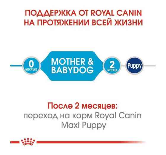 Royal Canin Maxi Starter (Рояв Канін Максі Стартер Мазер Бебідог) корм для великих вагітних і кормових собак 4 кг. Запоріжжя