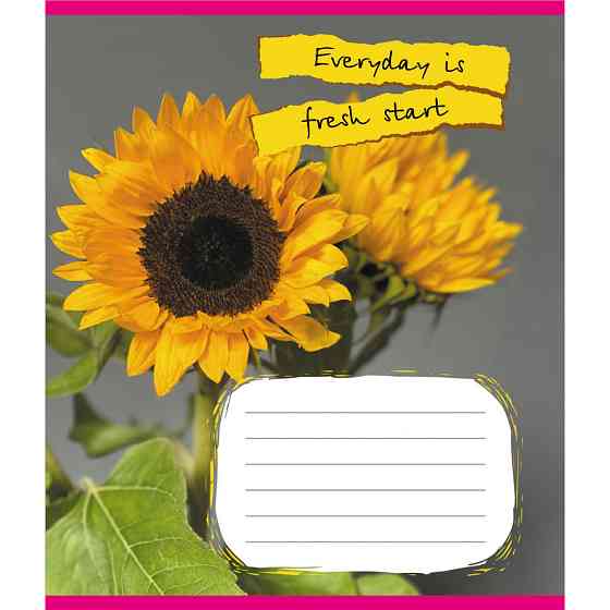 Тетрадь ученическая 