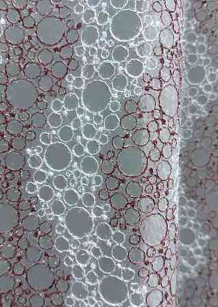 Тюль органза с вышивкой и люрексом цвет бордовый с белым 1687т Киев