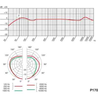 Микрофон AKG P170 (3101H00410) Винница