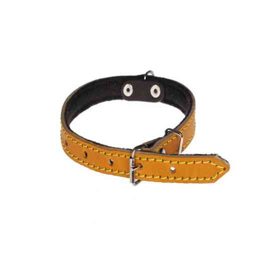 Нашийник 114 15мм "Класик" шкіра + синтепон Вінниця