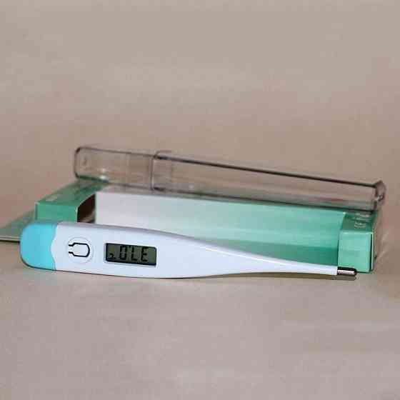 Електронний термометр градусник BLIP-2 BL-1020: цифровий медичний термометр для дітей та дорослих, пластик Одеса