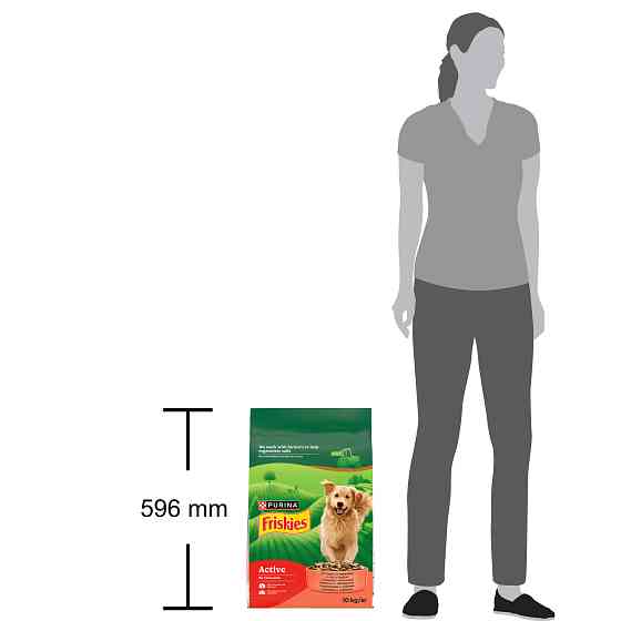 Сухой корм FRISKIES Active для взрослых собак с повышенной активностью, с говядиной, 10 кг Киев