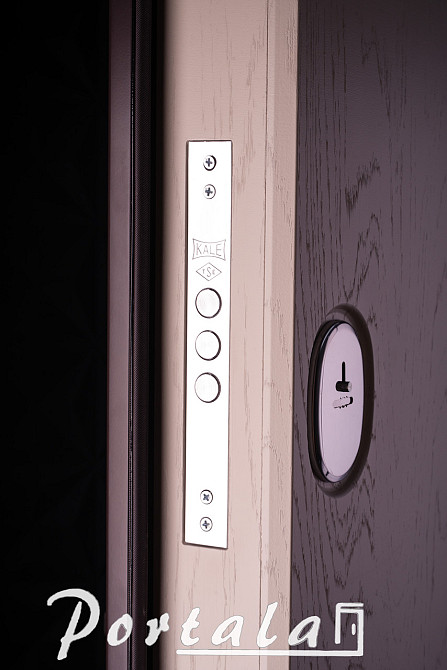 Двери уличные, МДФ-покраска по RAL,серия Премиум, модель Лозана, гнутый профиль, коробка 150 мм, полотно 105мм Киев - изображение 3