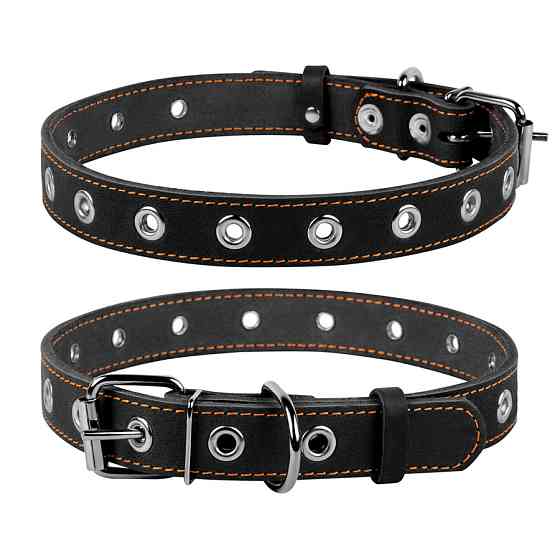 Нашийник "CoLLaR" безрозмірний (ширина 25мм, довжина 60см) чорний Коломыя