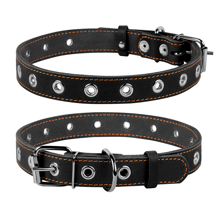 Нашийник "CoLLaR" безрозмірний (ширина 25мм, довжина 60см) чорний Коломыя - изображение 1