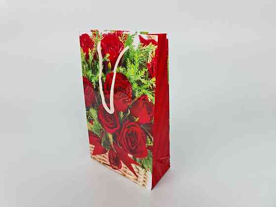 Паперовий пакет подарунковий Середній 17/26/8 (артSV-127) (12 шт.) Харків