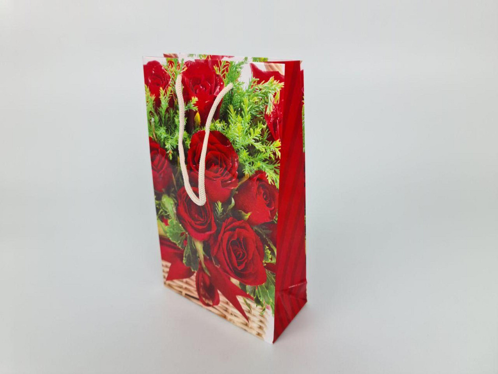 Паперовий пакет подарунковий Середній 17/26/8 (артSV-127) (12 шт.) Харків - фото 2