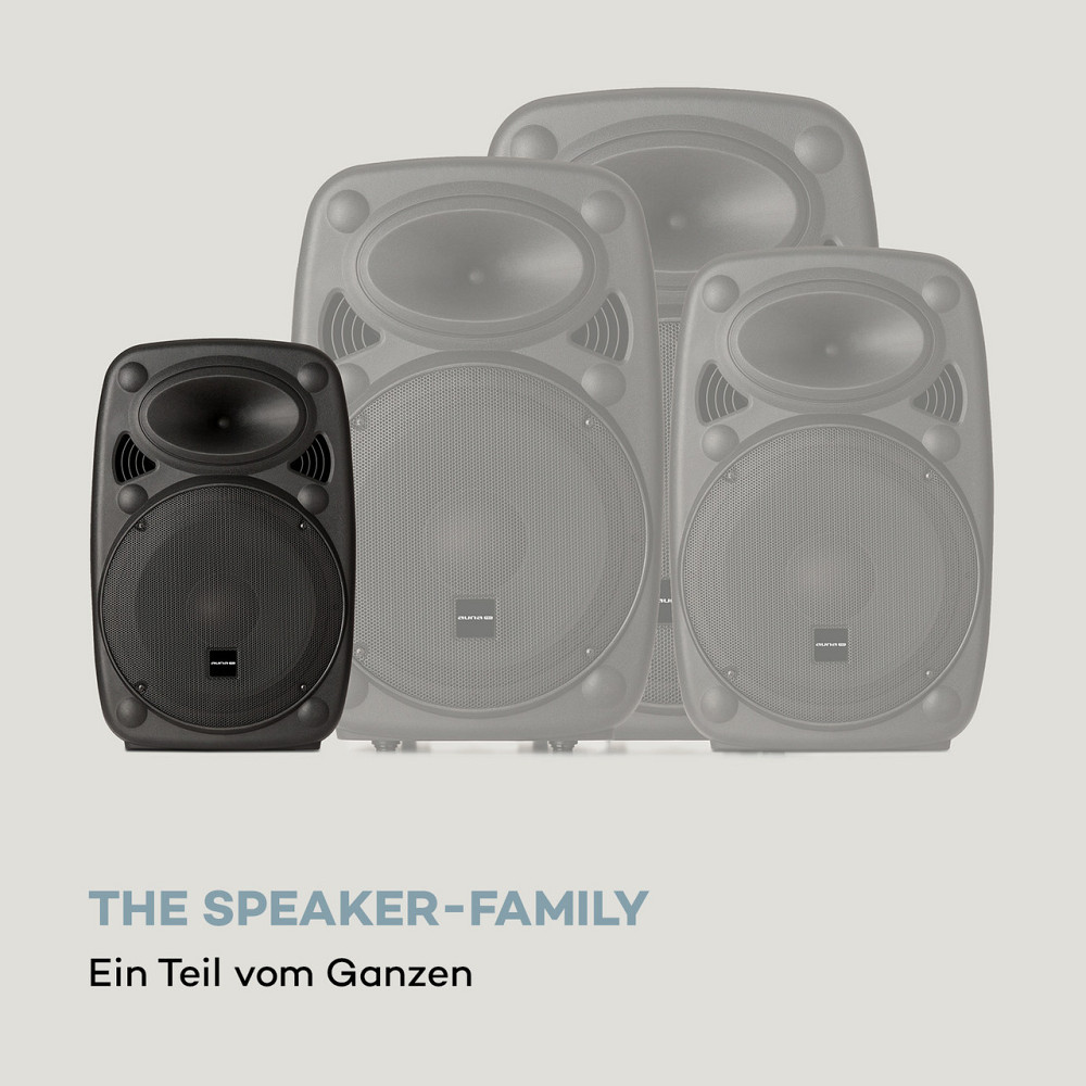 Мобільна акустична система Streetstar 8 8-дюймовий (20 см) низькочастотний мікрофон УВЧ-мікрофон 200 Вт Рівне - фото 10