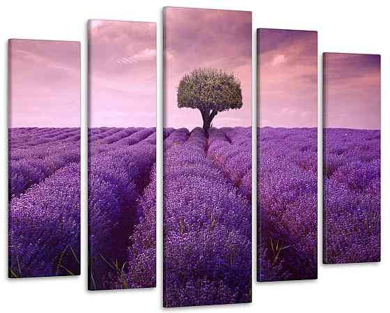 Модульная картина в гостиную / спальню Лавандовое поле Art-360_5 ( 80х118см ) 105x150 см Киев