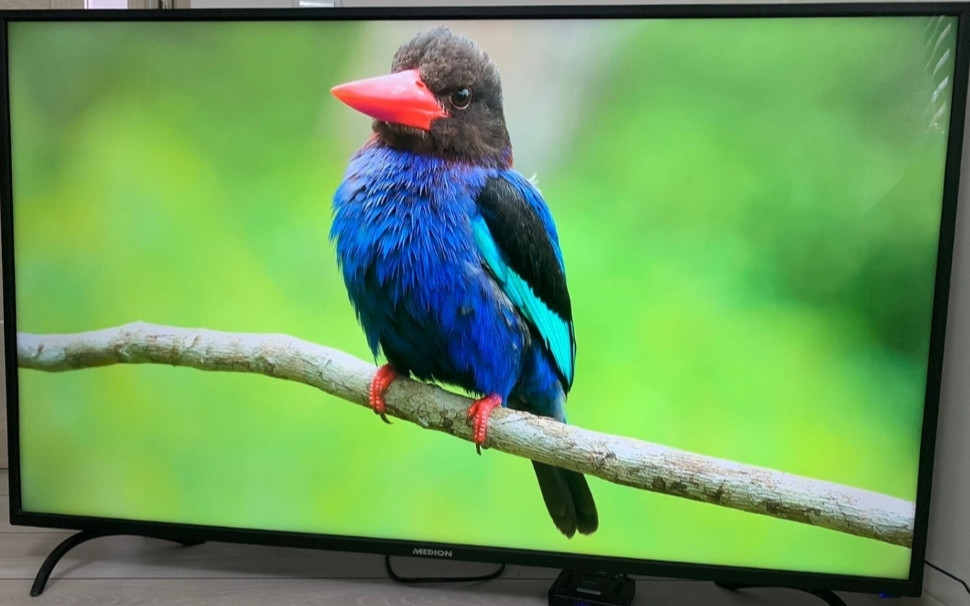 Телевизор Medion 55