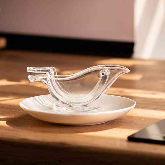 Прес для цитрусових фруктів ручний Київ