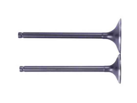 Клапани на бензиновий двигун CB-250CC, к-т: 2 шт., Мукачево