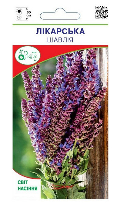 Семена Шалфей лекарственный Киев - изображение 1