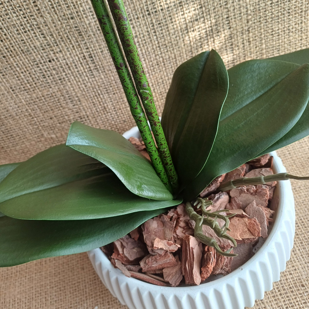 Штучна латексна орхідея VIP на дві гілки жовто-блакитна Дніпро - фото 7