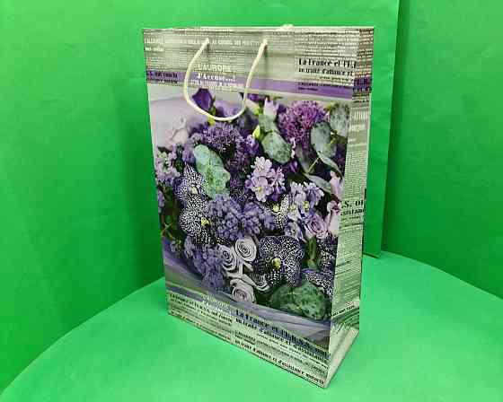 Пакет бумажный гигант вертиркальный (30х42х12)(артGV-001) (12 шт) Харьков