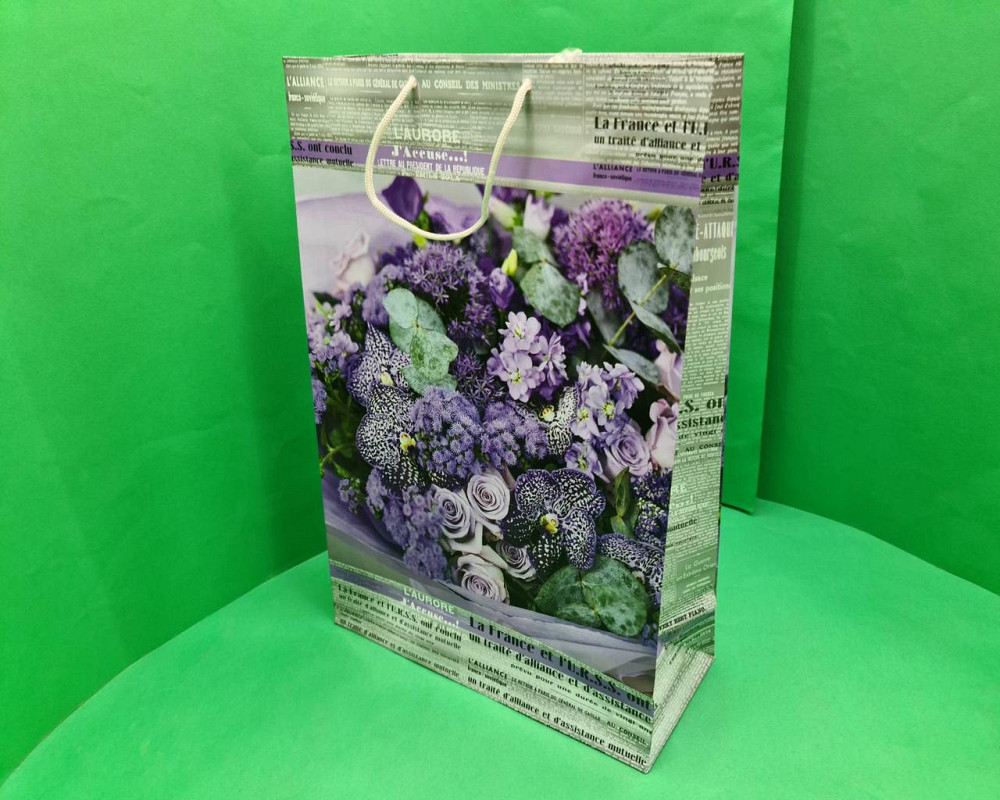 Пакет бумажный гигант вертиркальный (30х42х12)(артGV-001) (12 шт) Харьков - изображение 1