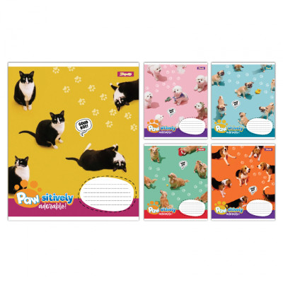 Зошит 1 вересня Pawsitively А5 24 аркушів клітинка (768240) Вінниця - фото 1