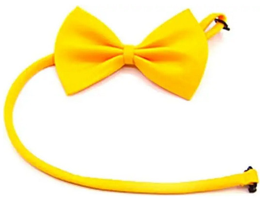 Бабочка для собачки и кота желтая Киев - изображение 2