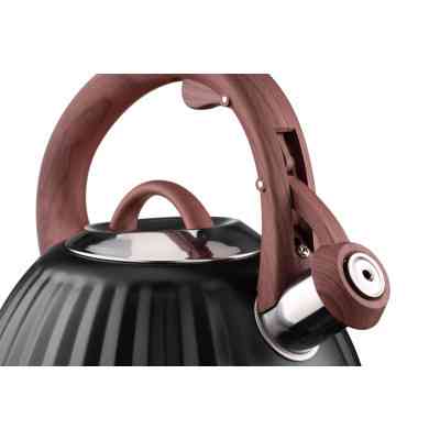Чайник Ardesto Gemini 2.5 л Чорний (AR1958KS) Винница