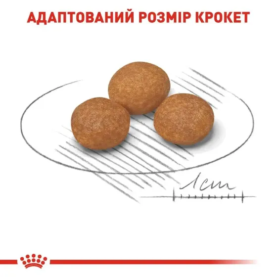 Royal Canin X-Small Adult 8+ (Роял Канин Икс-Смол Эдалт 8+) сухой корм для миниатюрных собак до 4 кг от 8 лет 3 кг. Запорожье
