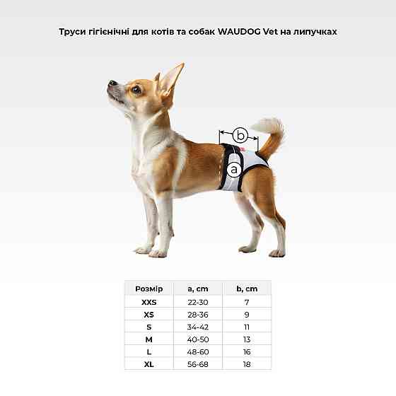 Трусы гигиенические для кошек и собак WAUDOG Vet на липучках, серый, ХХS, А 22-30 см, В 7 см Киев
