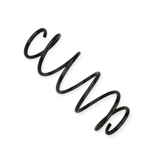 Пружина Ford Fiesta V 1.4TDCI (01-08) Мукачево