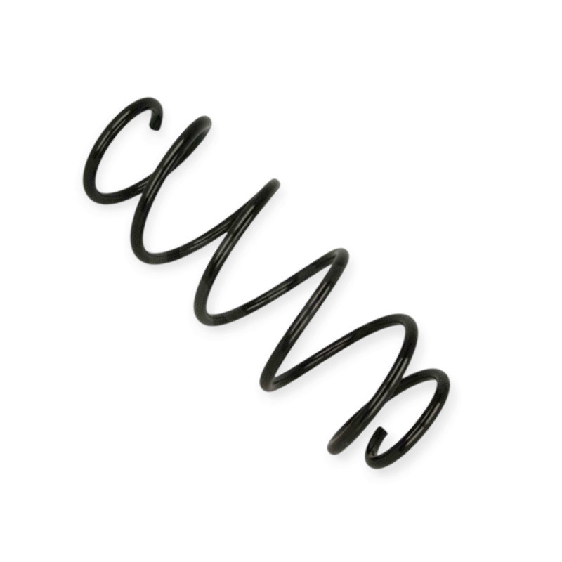 Пружина Ford Fiesta V 1.4TDCI (01-08) Мукачево - фото 1