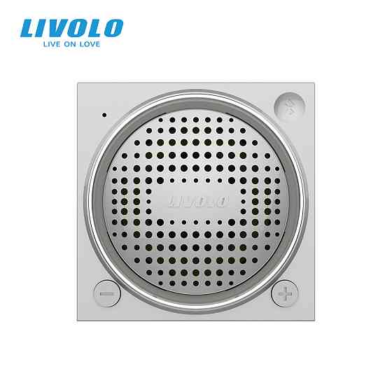 LIVOLO Механізм Bluetooth колонка LIVOLO сірий (VL-FCF-2IP) Коломия