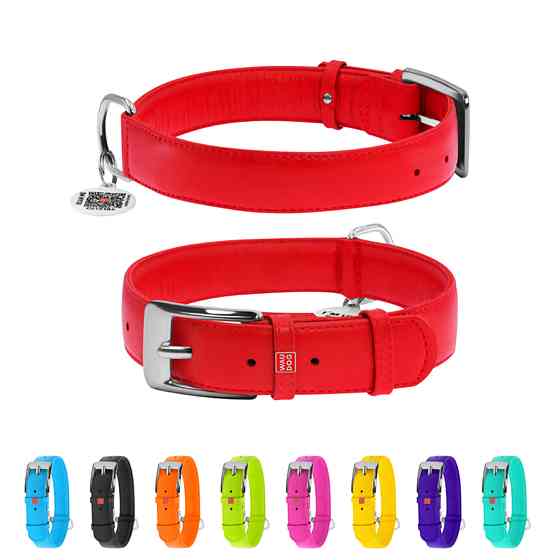 Нашийник для собак шкіряний WAUDOG Glamour з QR паспортом, без прикрас, XL, Ш 35 мм, Дов 46-60 Коломия