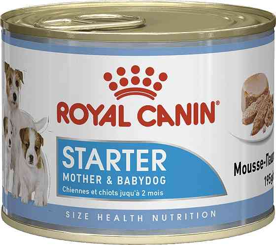 Royal Canin Starter Mousse Mother Babydog (Рояв Канін Стартер Мазер Бебідог) вологий корм для вагітних собак 0.195 кг. Запоріжжя