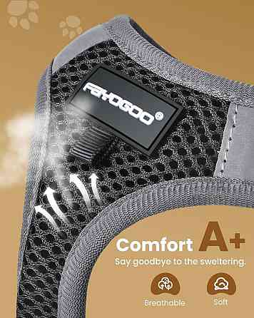 Шлейка для кошки FAYOGOO Черная Регулируемая мягкая сетка анти-побег светоотражающая с поводком комплект Киев