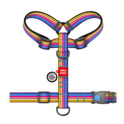 Шлей для собак WAUDOG Nylon анатомическая H-образная с QR-паспортом "Линия 1" пластиковый фастекс XL (323-0006) Винница